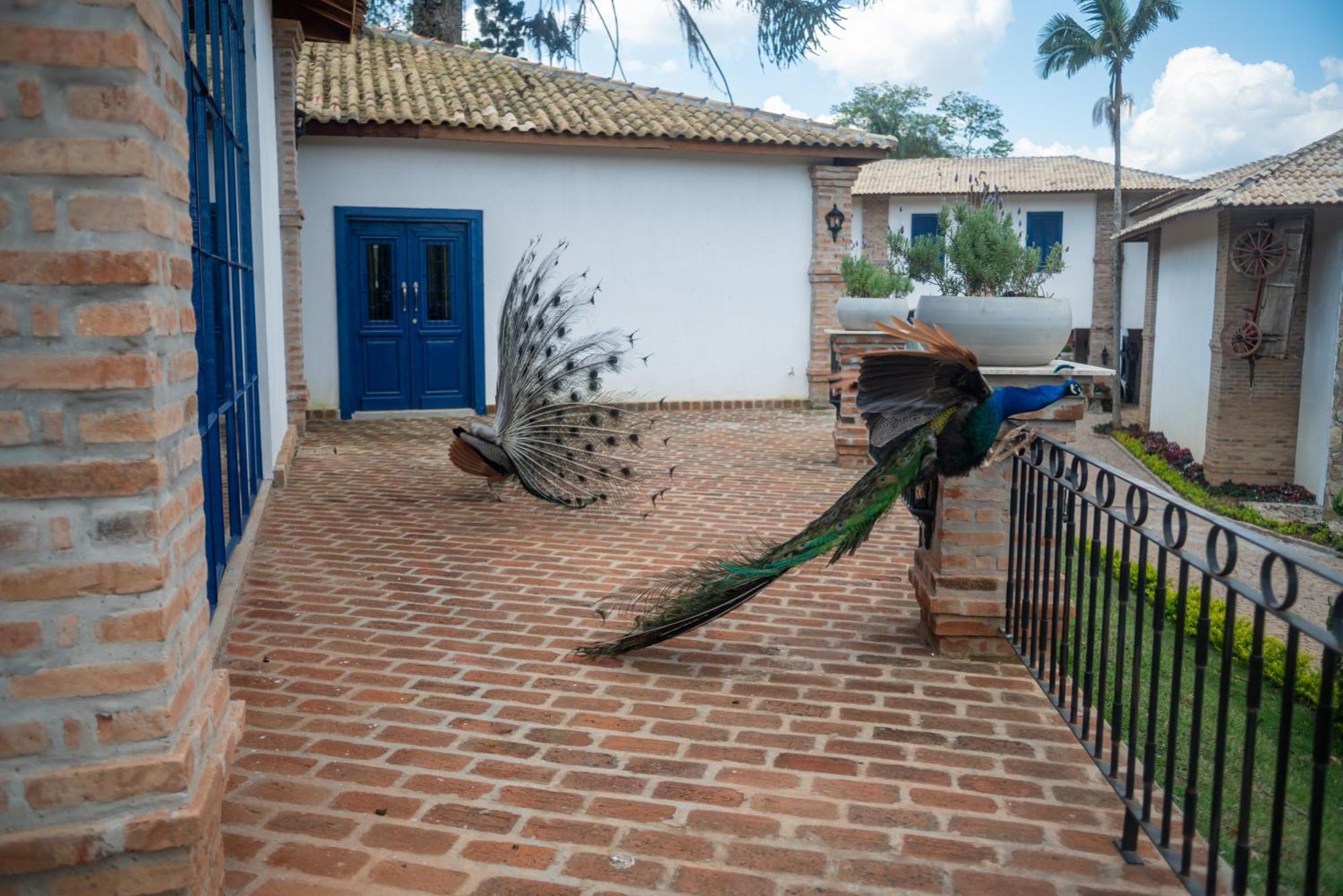 Hotel Fazenda Sao Silvano Morungaba Bagian luar foto