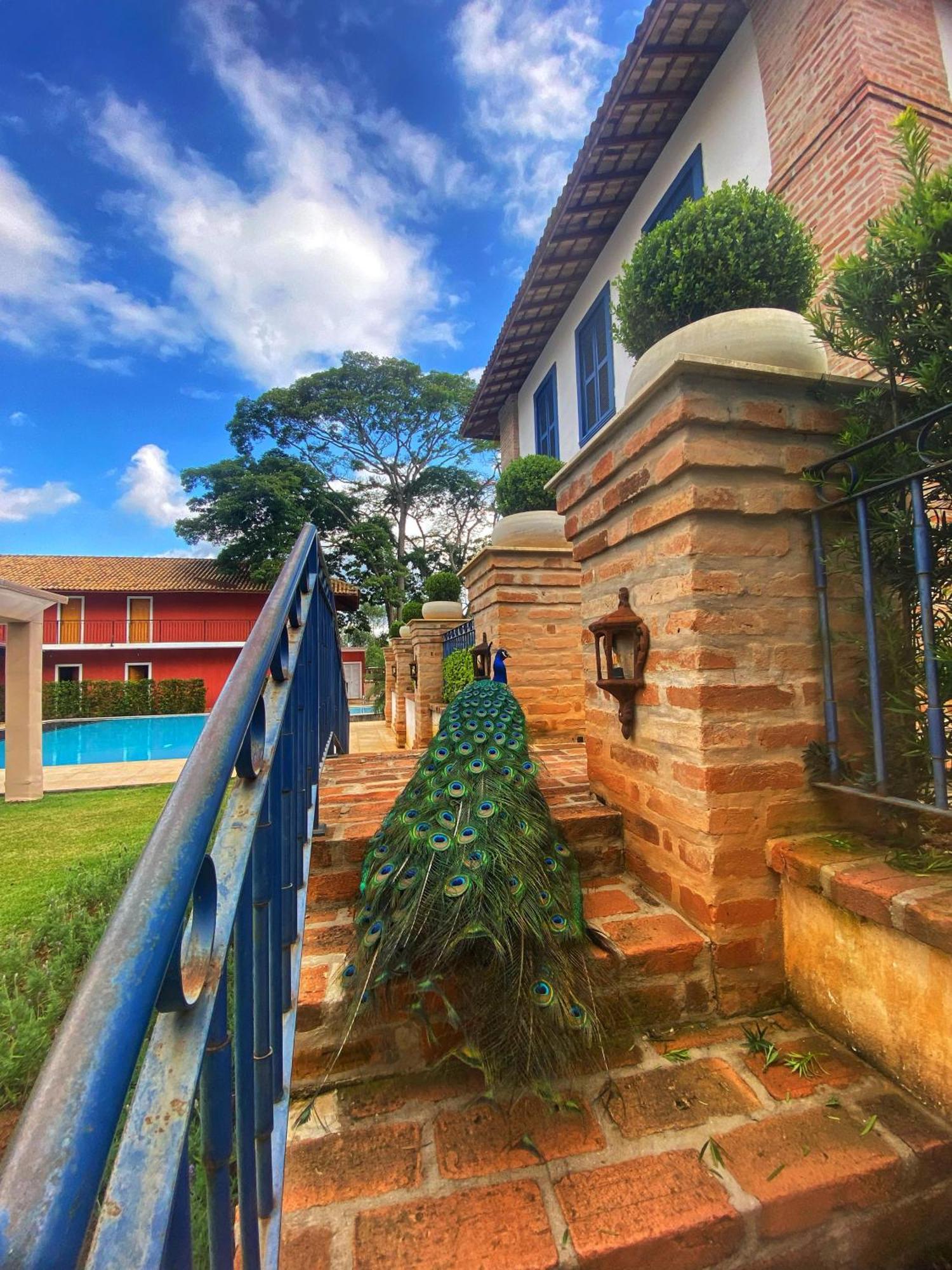 Hotel Fazenda Sao Silvano Morungaba Bagian luar foto